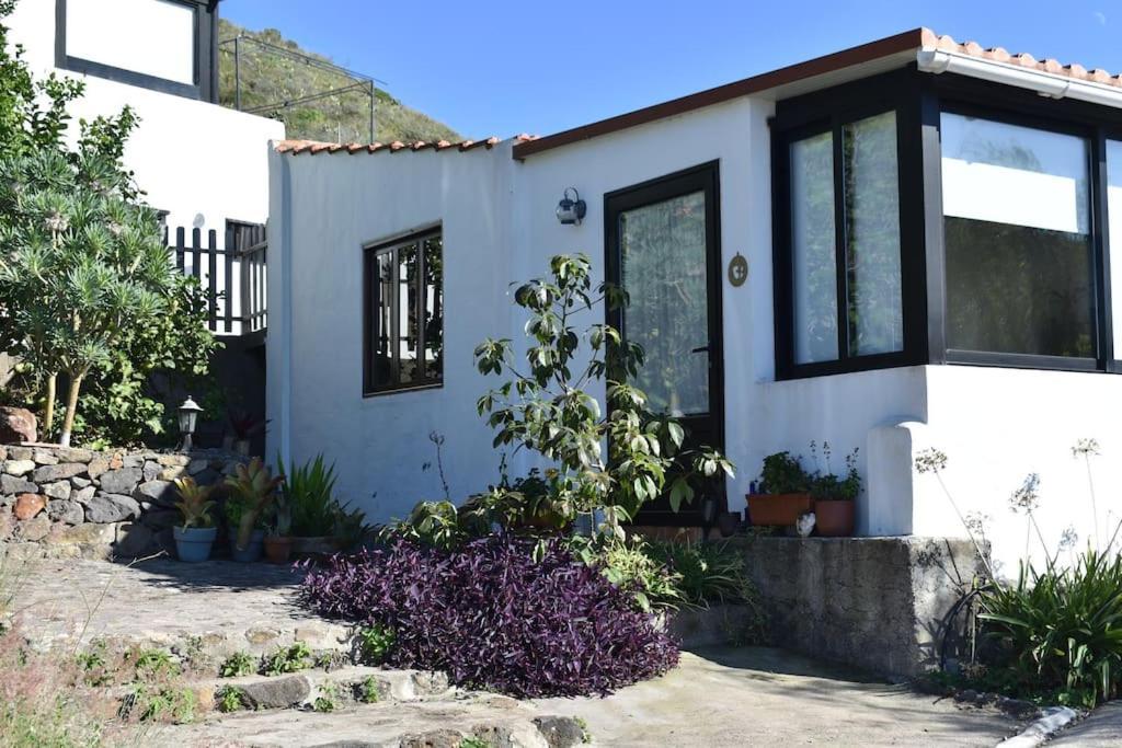 Casita De La Montana De Maria Villa Tegueste ภายนอก รูปภาพ