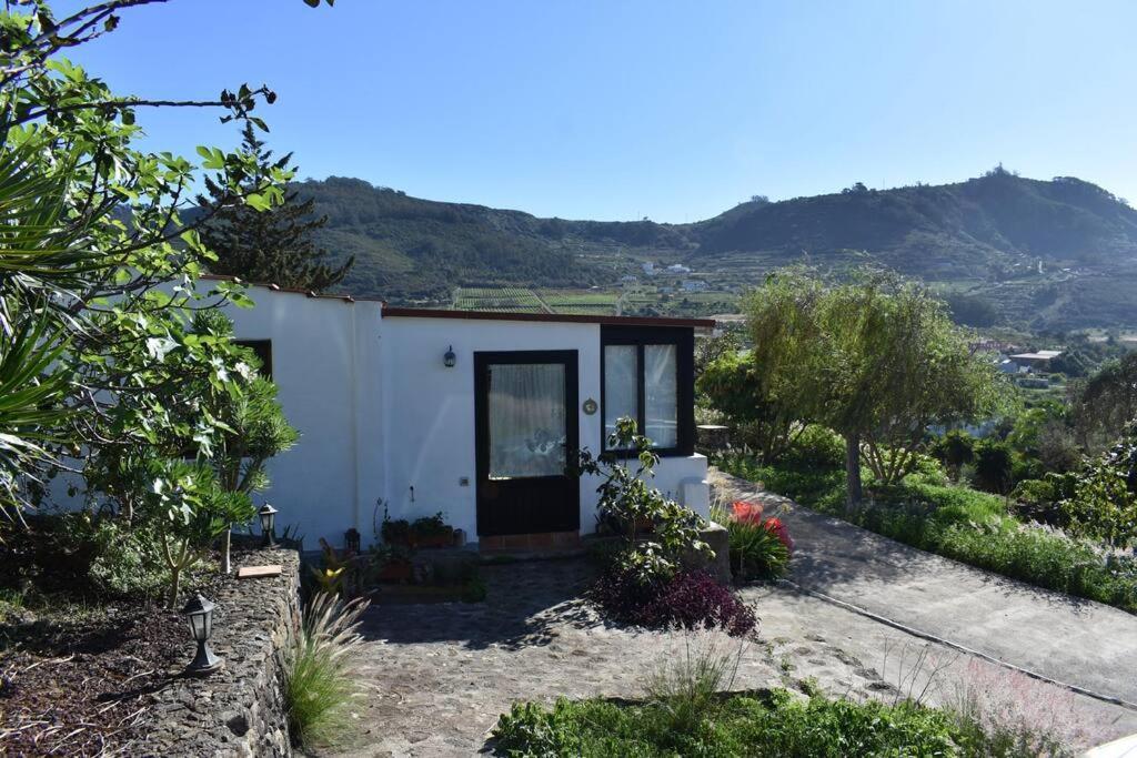 Casita De La Montana De Maria Villa Tegueste ภายนอก รูปภาพ